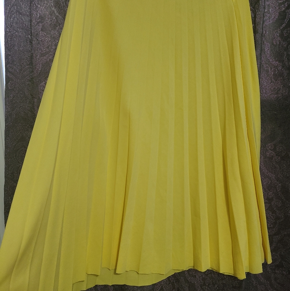Pleated skirt